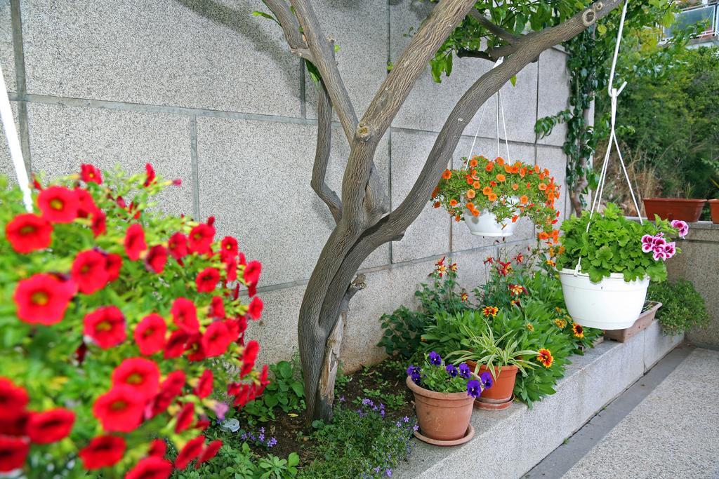 Apartment Boni شيبينيك المظهر الخارجي الصورة